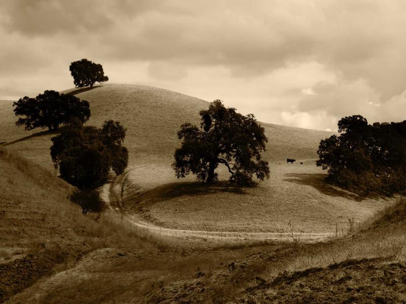 sudoku zen mode screenshot 2